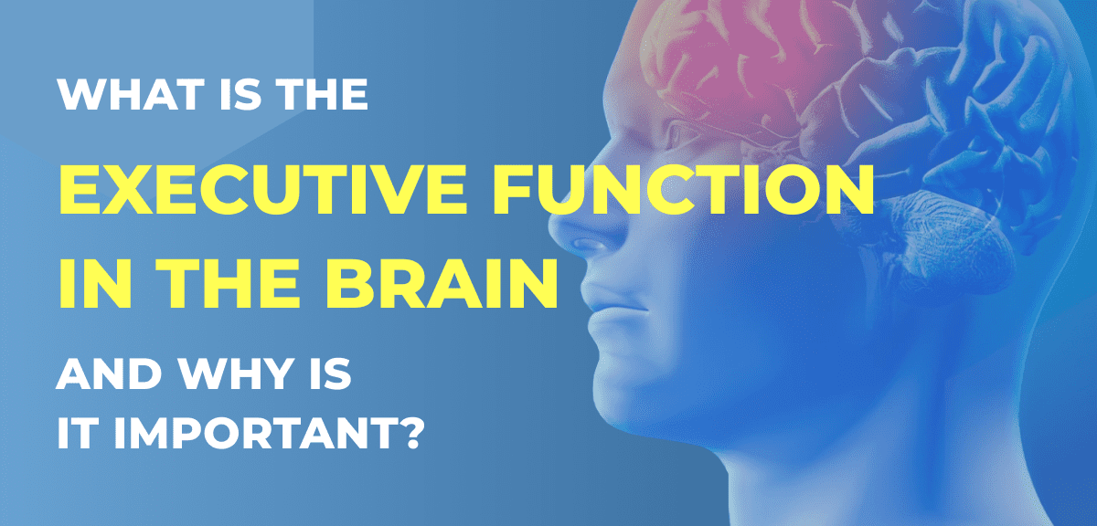 What Is The Executive Function In The Brain And Why Is It Important?