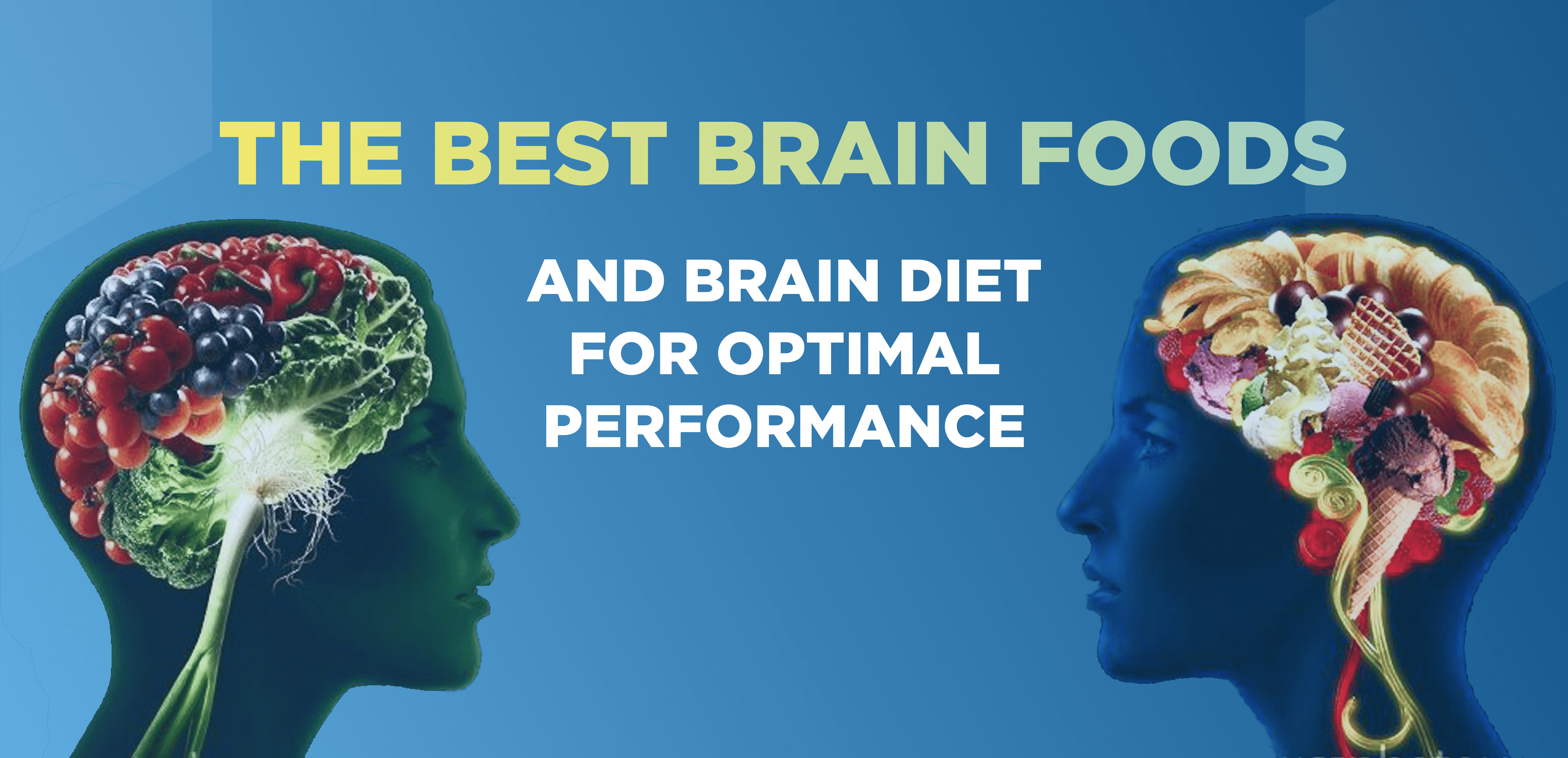 The Best Brain Foods and Brain Diet for Optimal Performance