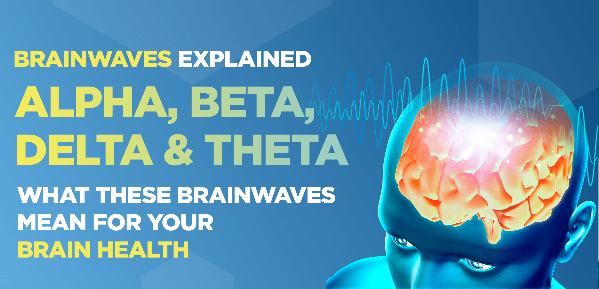 Brainwaves Explained – Alpha, Beta, Delta & Theta – What these brainwaves mean for your brain health